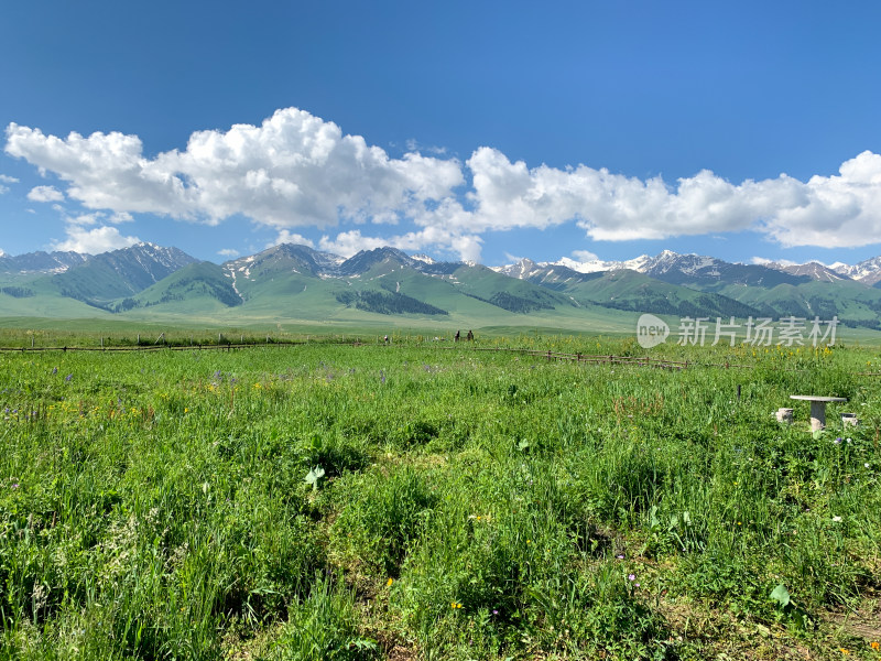 中国新疆伊犁那拉提草原旅游风光