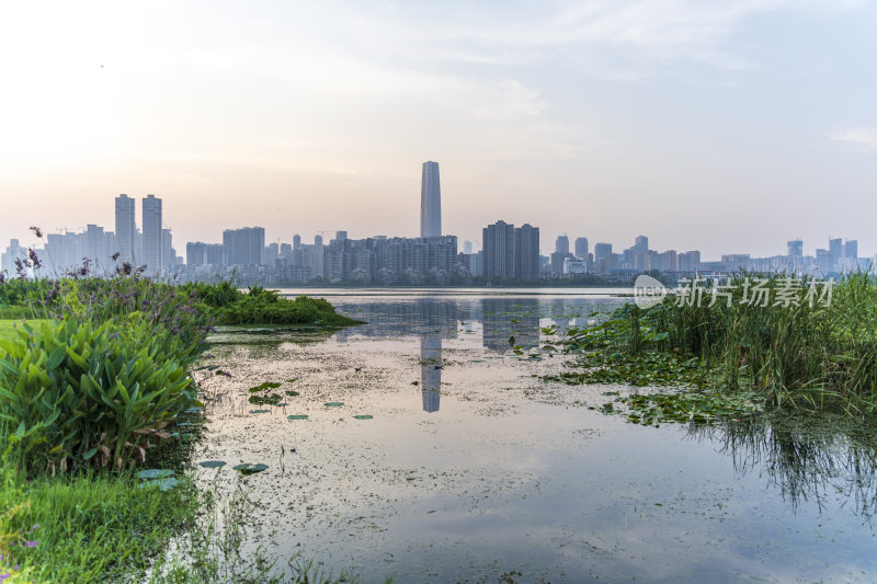 武汉武昌区沙湖公园风光