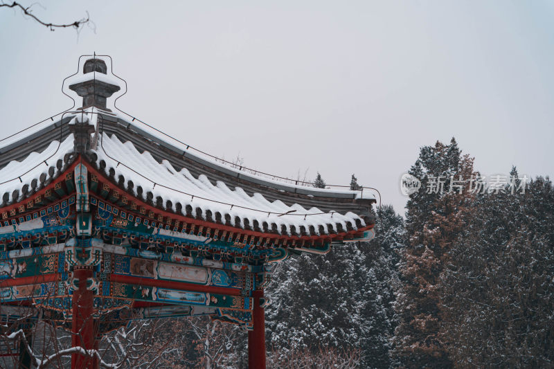 北京天坛公园12月雪