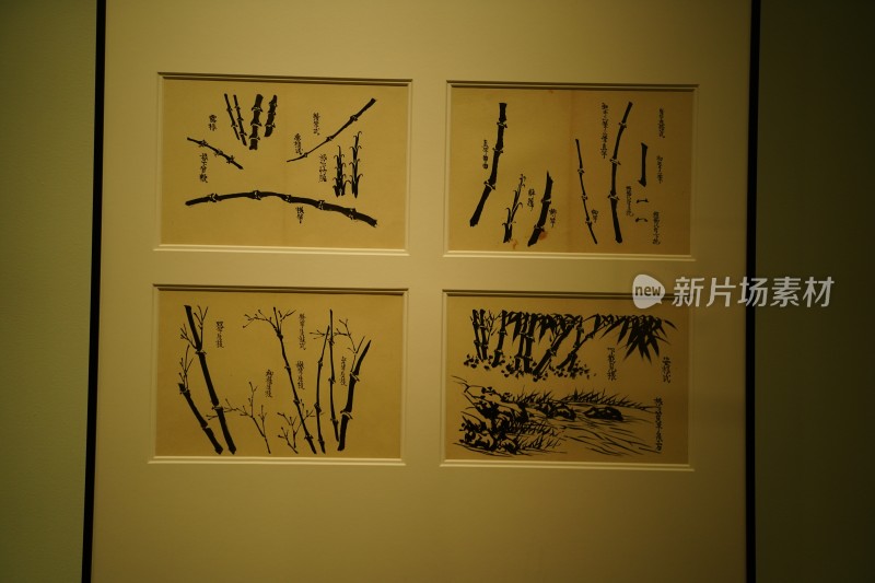 四川成都市天府美术馆展览的珍贵艺术字画