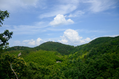 山中的风景