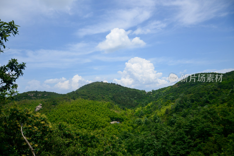 山中的风景