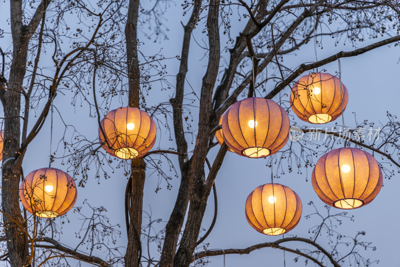 树上灯笼的夜色中式灯笼花灯春节新年元宵节