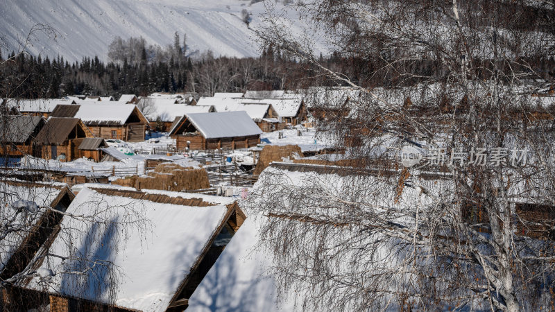 新疆森林小木屋雪景