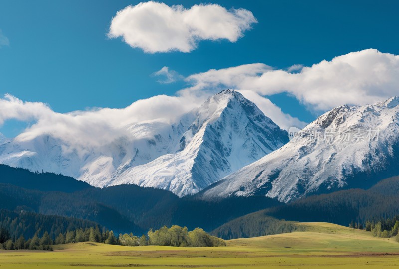 雪山高原草原森林风景