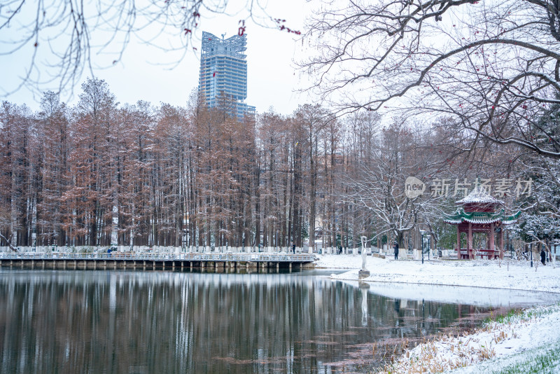 武汉冬天解放公园雪景