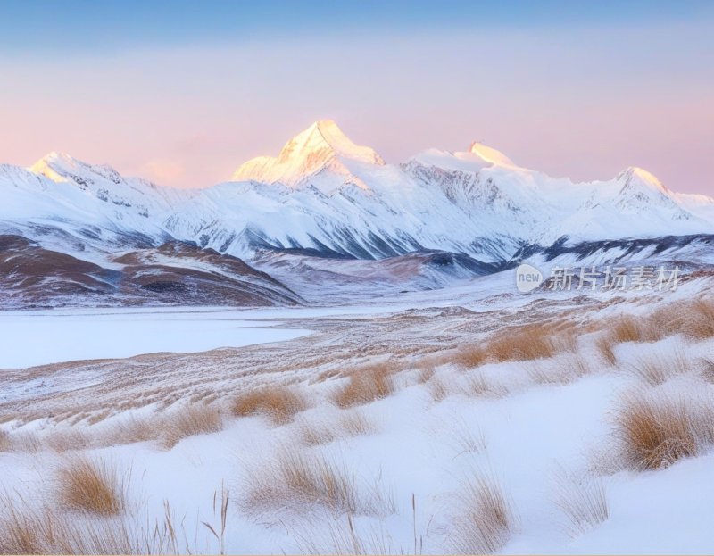 高山雪地