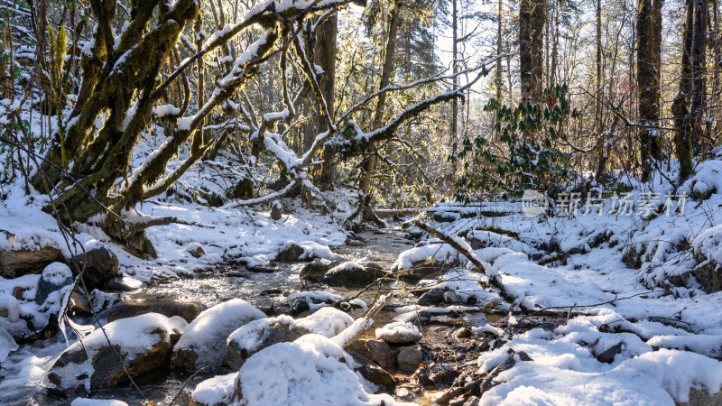 四川甘孜海螺沟景区冬季的雪水