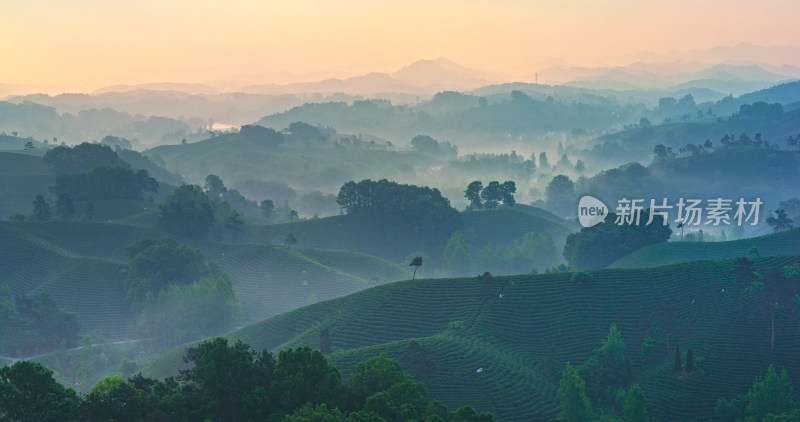 茶园茶山美丽乡村