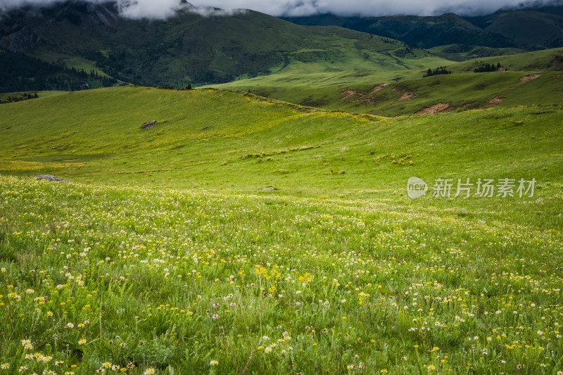 川西格聂夏天山脉 山峦 山峰 草原牧场