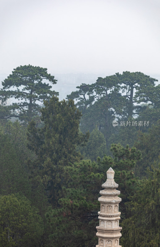 北京颐和园四大部洲景点景观