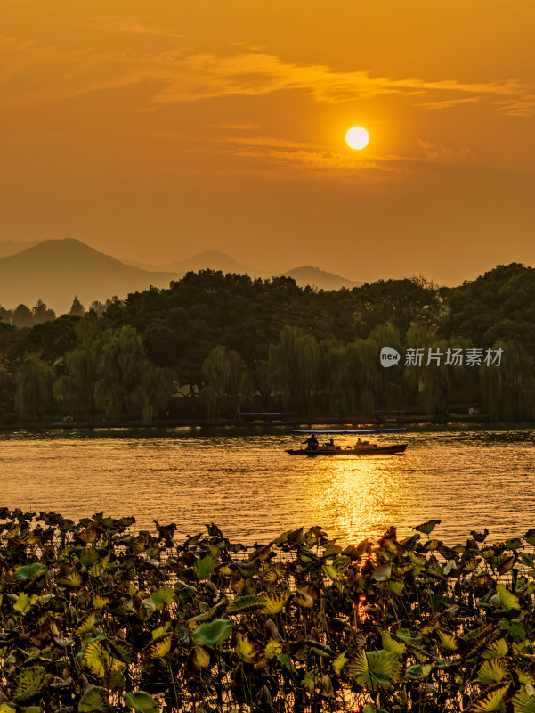 夕阳下西湖上的游船