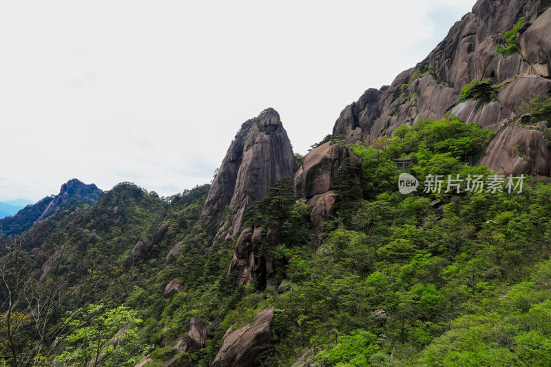 黄山登高自然风光