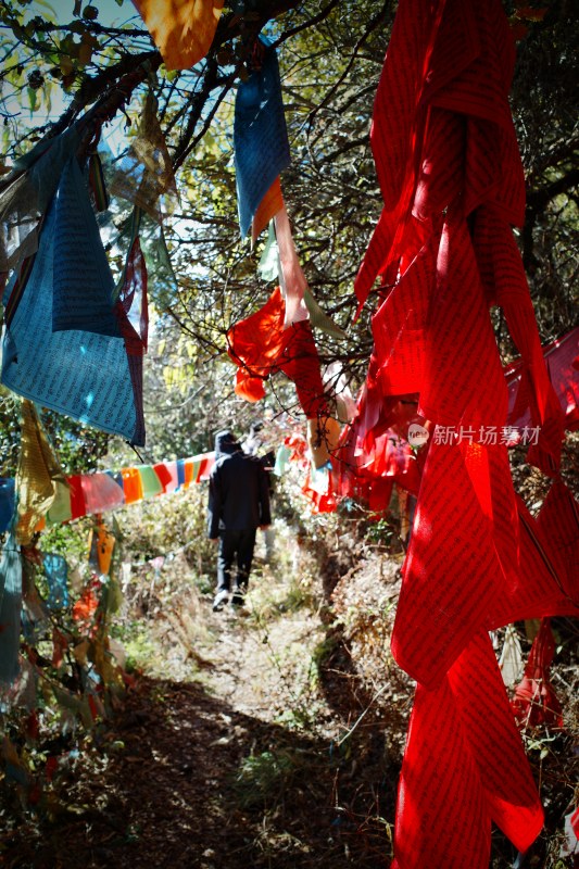 云南大理鸡足山景区山坡上悬挂的彩色经幡