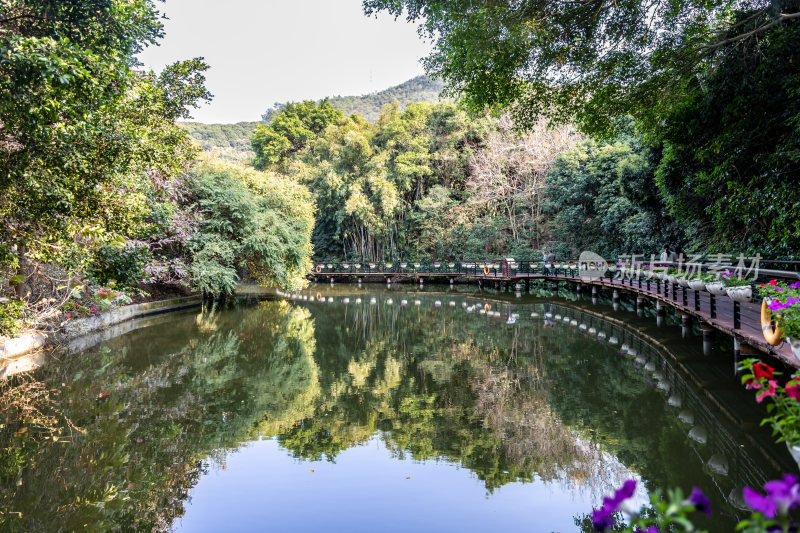 深圳南山区月亮湾公园