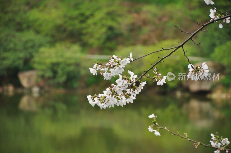 长沙风景，自然风光，长沙城景