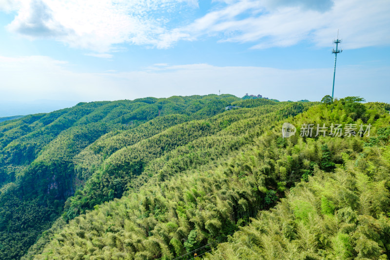 四川宜宾蜀南竹海