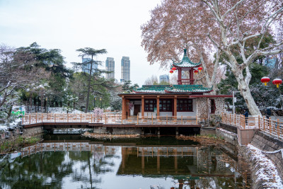 武汉冬天解放公园雪景