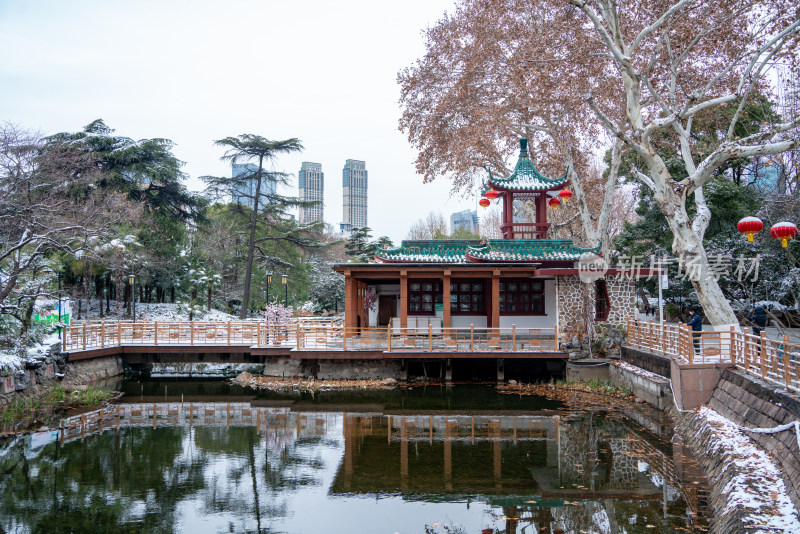 武汉冬天解放公园雪景