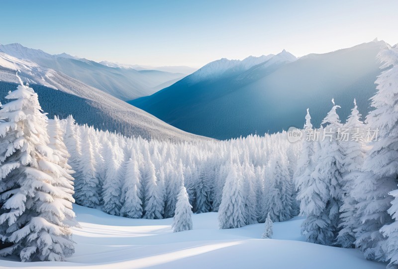 冬季森林白雪覆盖风景