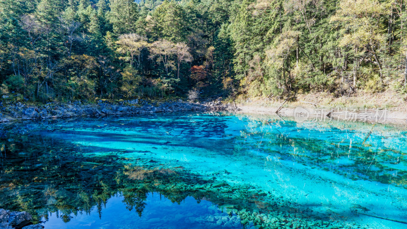 四川阿坝九寨沟五彩池清澈的水