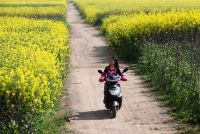 乡村景色油菜花田园劳动