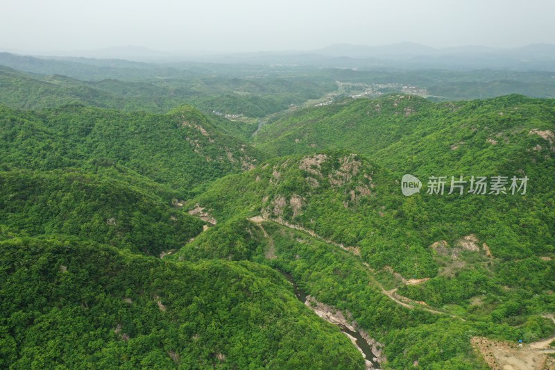 春意盎然的大别山