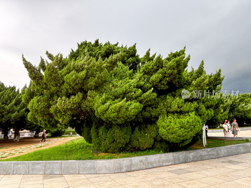 大连旅顺博物馆（关东厅博物馆旧址）