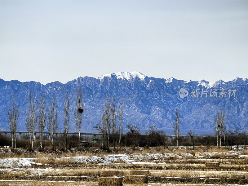 雪山下的田野与树木景观