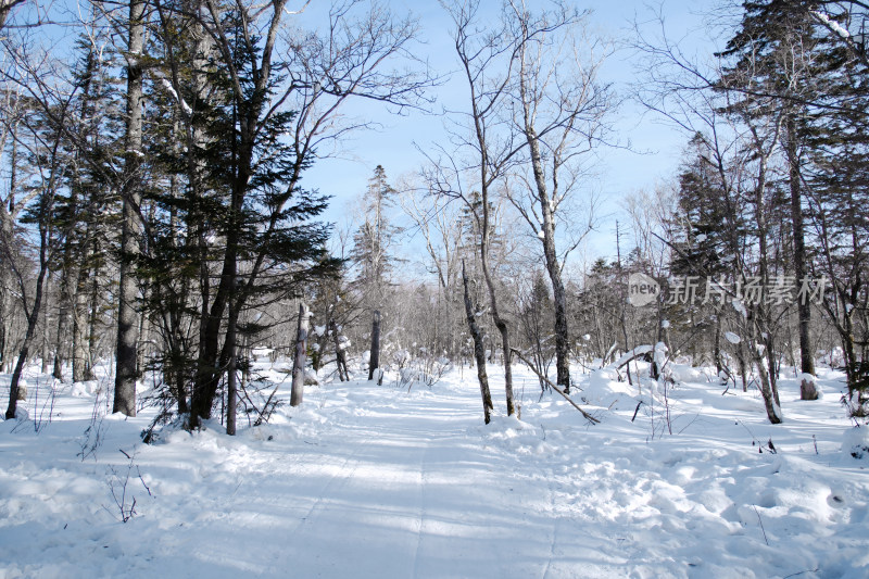 长白山雪岭冬日风光