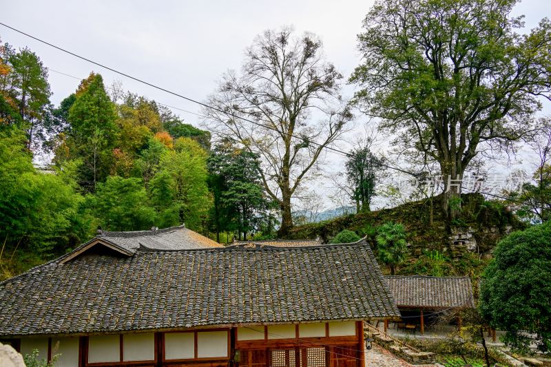 重庆酉阳：丁市镇农旅结合展新颜