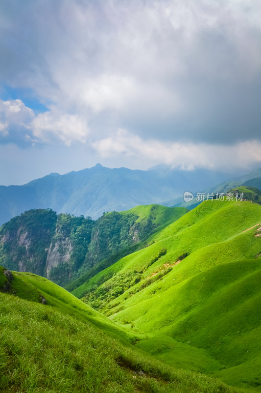 夏天江西武功山的高山草甸