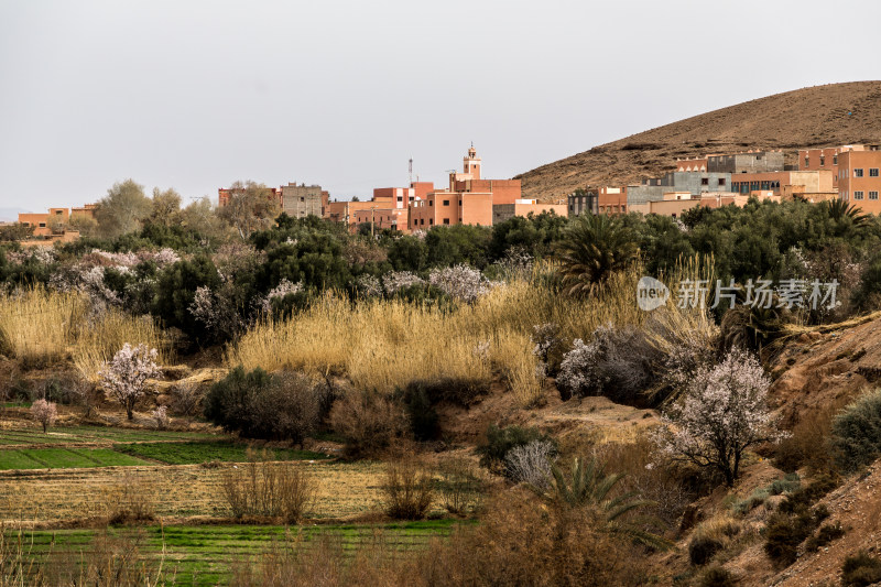 摩洛哥河谷中的农村