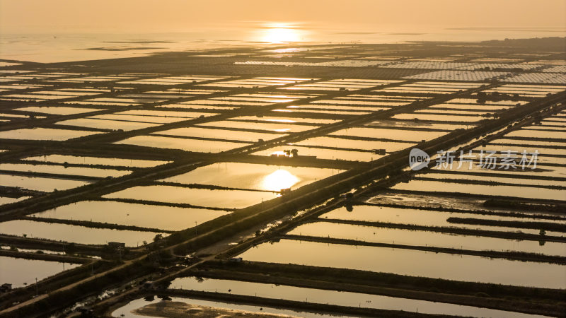 水产养殖：廉江市龙营围万亩虾田