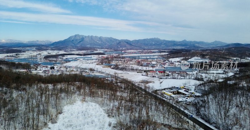 冬日雪景