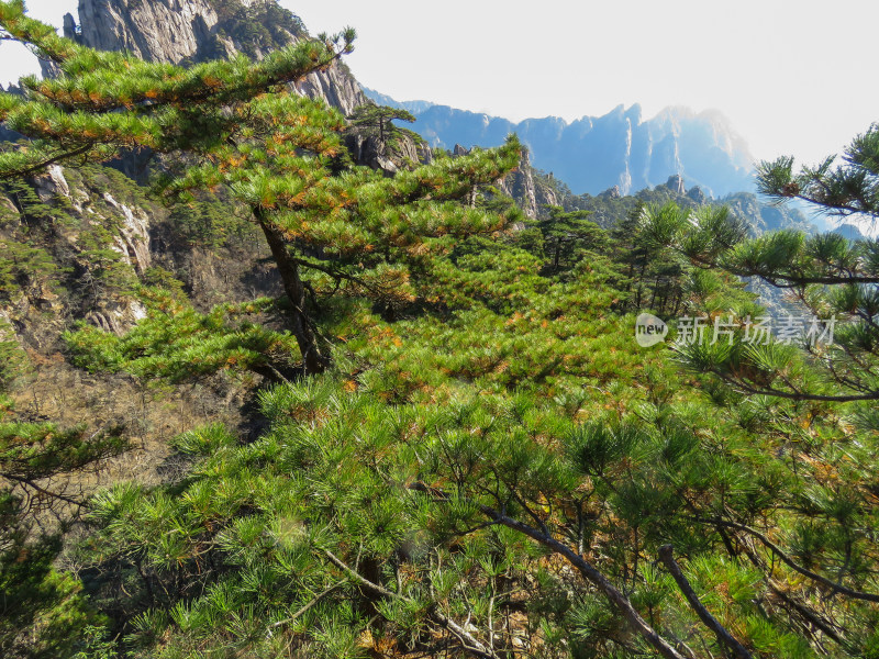 中国安徽黄山旅游风光