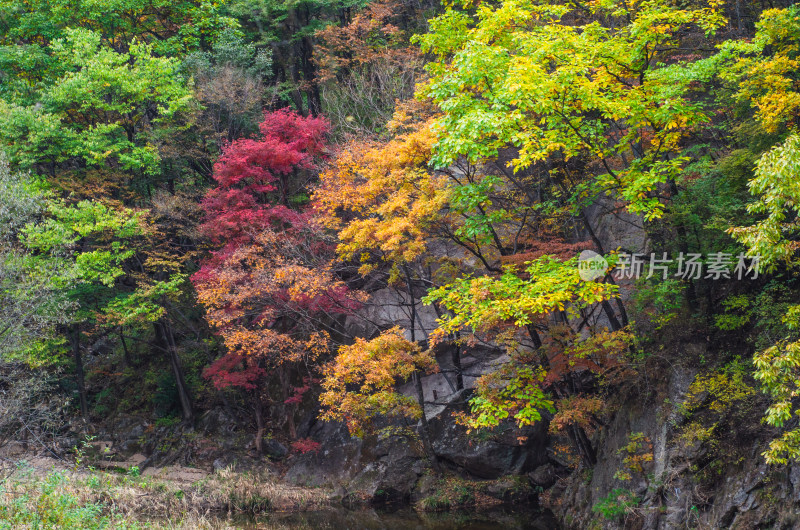 河南省洛阳白云山九龙潭秋天风景