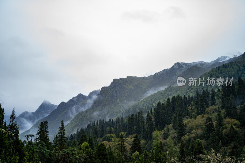 四川阿坝藏族羌族自治州四姑娘雪山风貌