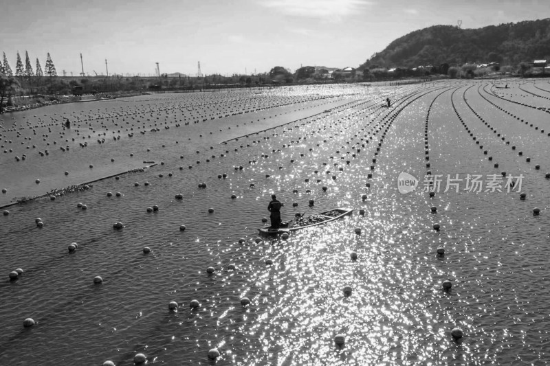 水塘珍珠养殖场