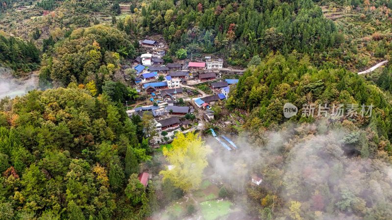 重庆酉阳：白果树边的美景