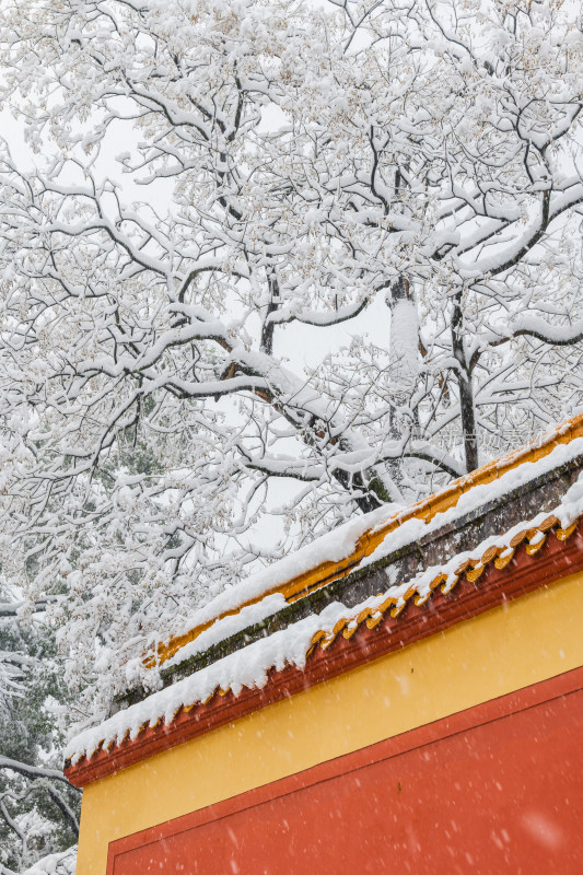 长沙岳麓书院雪景