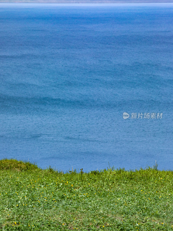 绿色草原和蓝色大海的自然风景