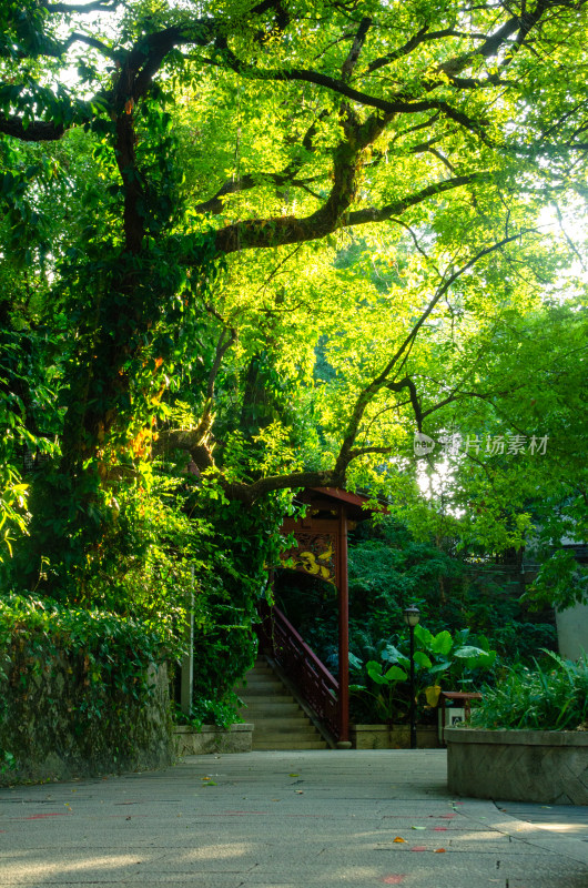 亚洲中国福建省福州市于山风景区