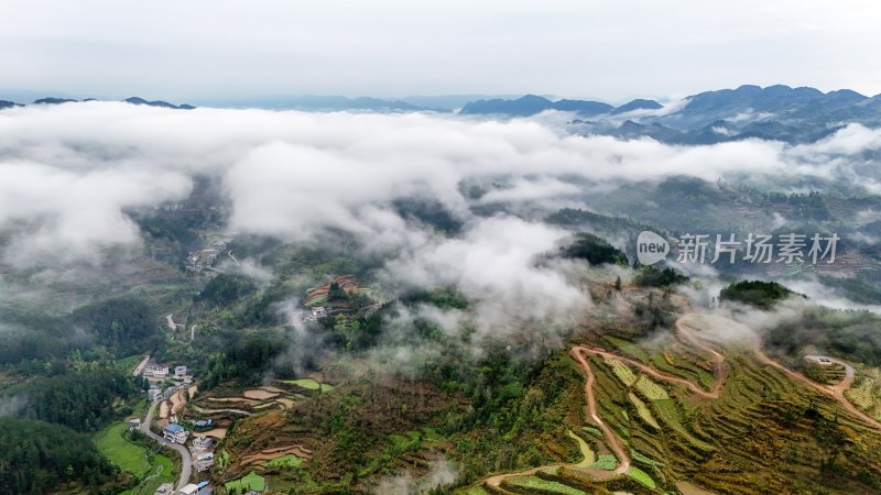 重庆酉阳：青山雾漫别样美