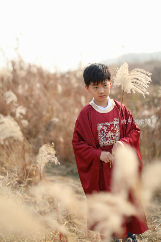 可爱的男孩站在草地上拿着芦苇