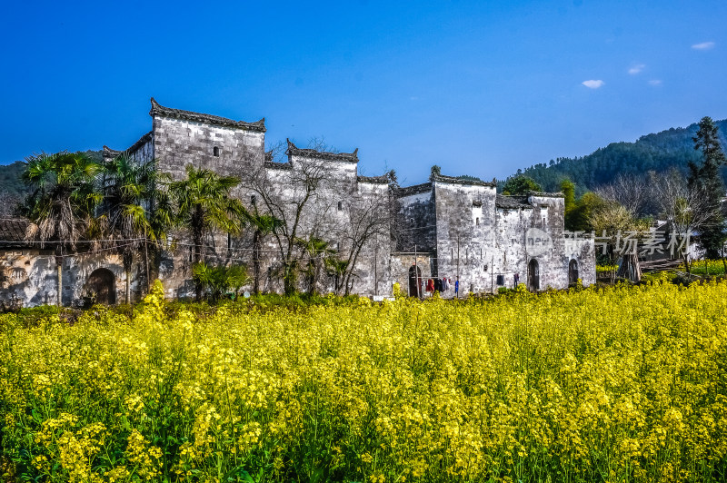 古村落婺源徽派建筑古建筑古遗址