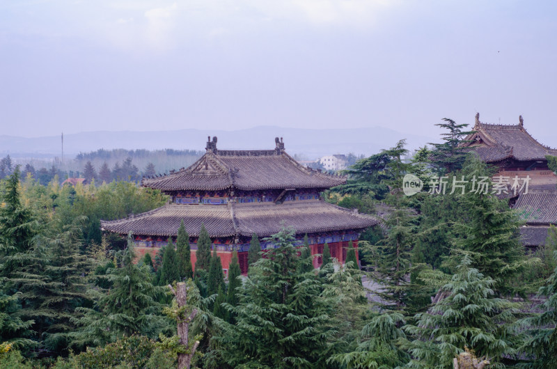 河南省洛阳市白马寺隐藏在树林中的古建筑