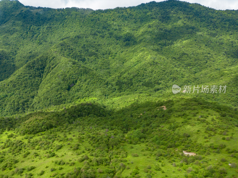 湖北神农架5a景区云海航拍