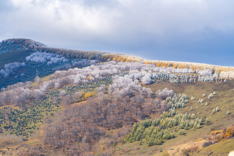 多彩山林景观，秋霜浸染下的山坡风光