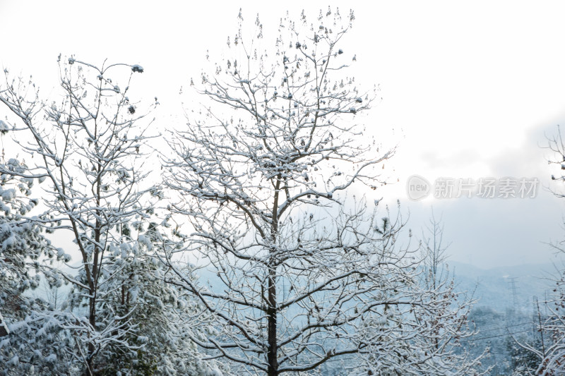 雪后的大山